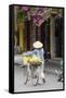 Local Woman in Conical Hat with Bike, Hoi An, Da Nang, Vietnam-Cindy Miller Hopkins-Framed Stretched Canvas