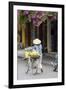 Local Woman in Conical Hat with Bike, Hoi An, Da Nang, Vietnam-Cindy Miller Hopkins-Framed Photographic Print