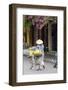 Local Woman in Conical Hat with Bike, Hoi An, Da Nang, Vietnam-Cindy Miller Hopkins-Framed Photographic Print