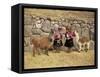 Local Women and Llamas in Front of Inca Ruins, Near Cuzco, Peru, South America-Gavin Hellier-Framed Stretched Canvas