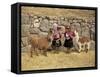 Local Women and Llamas in Front of Inca Ruins, Near Cuzco, Peru, South America-Gavin Hellier-Framed Stretched Canvas