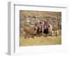 Local Women and Llamas in Front of Inca Ruins, Near Cuzco, Peru, South America-Gavin Hellier-Framed Photographic Print