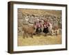 Local Women and Llamas in Front of Inca Ruins, Near Cuzco, Peru, South America-Gavin Hellier-Framed Photographic Print