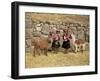 Local Women and Llamas in Front of Inca Ruins, Near Cuzco, Peru, South America-Gavin Hellier-Framed Photographic Print