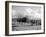 Local Women of Somaliland with Their Camels, 1935-null-Framed Photographic Print