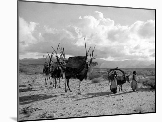 Local Women of Somaliland with Their Camels, 1935-null-Mounted Photographic Print