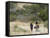 Local Women on Donkey, Dana Nature (Wildlife) Reserve, Jordan, Middle East-Christian Kober-Framed Stretched Canvas