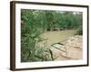 Location on the Jordan River Where Jesus was Baptised, Bethany, Jordan, Middle East-Bruno Morandi-Framed Photographic Print