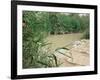 Location on the Jordan River Where Jesus was Baptised, Bethany, Jordan, Middle East-Bruno Morandi-Framed Photographic Print