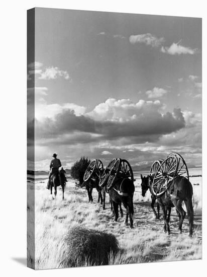 Location Shooting of Western Movie, Union Pacific, 1939-Alfred Eisenstaedt-Stretched Canvas