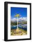 Location sign at the Bruce Jackson Lookout, Cromwell, Central Otago, South Island, New Zealand-Russ Bishop-Framed Photographic Print