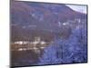 Loch Achray in Winter, the Trossachs, Central Region, Scotland, UK, Europe-Kathy Collins-Mounted Photographic Print