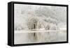 Loch Ard, Aberfoyle, the Trossachs in Mid-Winter-John Potter-Framed Stretched Canvas