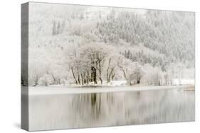 Loch Ard, Aberfoyle, the Trossachs in Mid-Winter-John Potter-Stretched Canvas