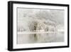 Loch Ard, Aberfoyle, the Trossachs in Mid-Winter-John Potter-Framed Photographic Print