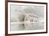 Loch Ard, Aberfoyle, the Trossachs in Mid-Winter-John Potter-Framed Photographic Print