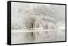 Loch Ard, Aberfoyle, the Trossachs in Mid-Winter-John Potter-Framed Stretched Canvas