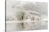 Loch Ard, Aberfoyle, the Trossachs in Mid-Winter-John Potter-Stretched Canvas