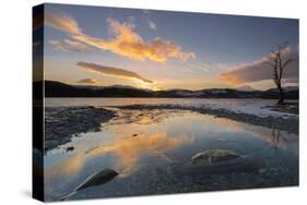 Loch Ard, the Trossachs, Scotland-John Potter-Stretched Canvas