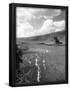 Essential Black
