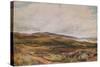 Loch Awe, 1874-Thomas Collier-Stretched Canvas