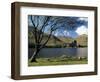 Loch Awe and the Ruins of Kilchurn Castle, Strathclyde, Scotland, United Kingdom-Adam Woolfitt-Framed Photographic Print