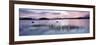 Loch Ba' at Sunrise, Rannoch Moor, Western Highlands, Scotland, United Kingdom, Europe-Lee Frost-Framed Photographic Print