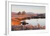 Loch Ba on a Frosty Morning at Rannoch Moor, Perth and Kinross, Highlands, Scotland, UK-Julian Elliott-Framed Photographic Print