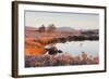 Loch Ba on a Frosty Morning at Rannoch Moor, Perth and Kinross, Highlands, Scotland, UK-Julian Elliott-Framed Photographic Print