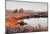 Loch Ba on a Frosty Morning at Rannoch Moor, Perth and Kinross, Highlands, Scotland, UK-Julian Elliott-Mounted Photographic Print