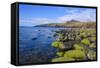 Loch Buie, Isle of Mull, Inner Hebrides, Argyll and Bute, Scotland, United Kingdom-Gary Cook-Framed Stretched Canvas