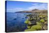 Loch Buie, Isle of Mull, Inner Hebrides, Argyll and Bute, Scotland, United Kingdom-Gary Cook-Stretched Canvas