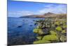 Loch Buie, Isle of Mull, Inner Hebrides, Argyll and Bute, Scotland, United Kingdom-Gary Cook-Mounted Photographic Print