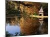 Loch Dunmore, Near Pitlochry, Perthshire, Highland Region, Scotland, United Kingdom-Kathy Collins-Mounted Photographic Print