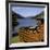 Loch Eck Scotland-null-Framed Photographic Print