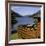 Loch Eck Scotland-null-Framed Photographic Print