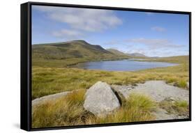 Loch Enoch, Looking Towards Merrick, Galloway Hills, Dumfries and Galloway, Scotland, UK-Gary Cook-Framed Stretched Canvas