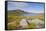 Loch Enoch, Looking Towards Merrick, Galloway Hills, Dumfries and Galloway, Scotland, UK-Gary Cook-Framed Stretched Canvas