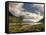 Loch Etive and Lone Tree, Glen Etive, Near Glencoe, Highland Region, Scotland, United Kingdom-Patrick Dieudonne-Framed Stretched Canvas