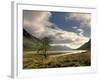 Loch Etive and Lone Tree, Glen Etive, Near Glencoe, Highland Region, Scotland, United Kingdom-Patrick Dieudonne-Framed Photographic Print