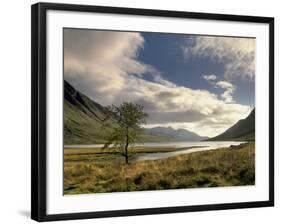 Loch Etive and Lone Tree, Glen Etive, Near Glencoe, Highland Region, Scotland, United Kingdom-Patrick Dieudonne-Framed Photographic Print