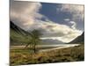 Loch Etive and Lone Tree, Glen Etive, Near Glencoe, Highland Region, Scotland, United Kingdom-Patrick Dieudonne-Mounted Photographic Print