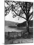 Loch Fyne-null-Mounted Photographic Print