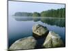 Loch Garten Rspb Reserve at Dawn, Highlands, Scotland, UK-Pete Cairns-Mounted Premium Photographic Print