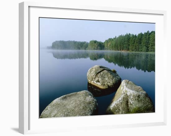 Loch Garten Rspb Reserve at Dawn, Highlands, Scotland, UK-Pete Cairns-Framed Photographic Print