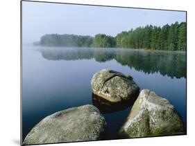 Loch Garten Rspb Reserve at Dawn, Highlands, Scotland, UK-Pete Cairns-Mounted Photographic Print