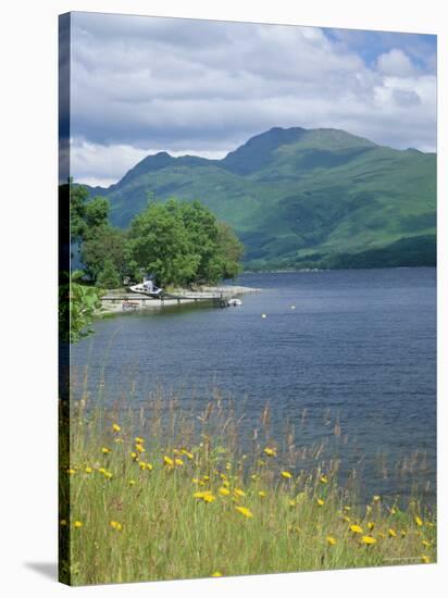 Loch Lomond and Ben Lomond from North of Luss, Argyll and Bute, Strathclyde, Scotland-Roy Rainford-Stretched Canvas