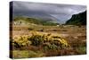 Loch Maree, Highland, Scotland-Peter Thompson-Stretched Canvas