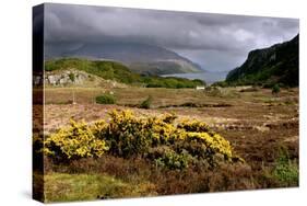 Loch Maree, Highland, Scotland-Peter Thompson-Stretched Canvas