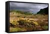 Loch Maree, Highland, Scotland-Peter Thompson-Framed Stretched Canvas